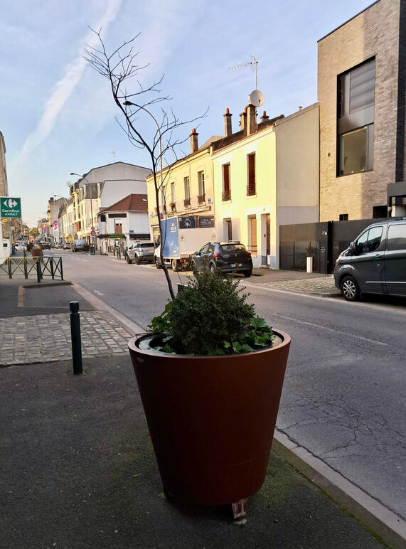 Photo d'un des pots massifs installés récemment, dont la plante est déjà chétive et mourante.
