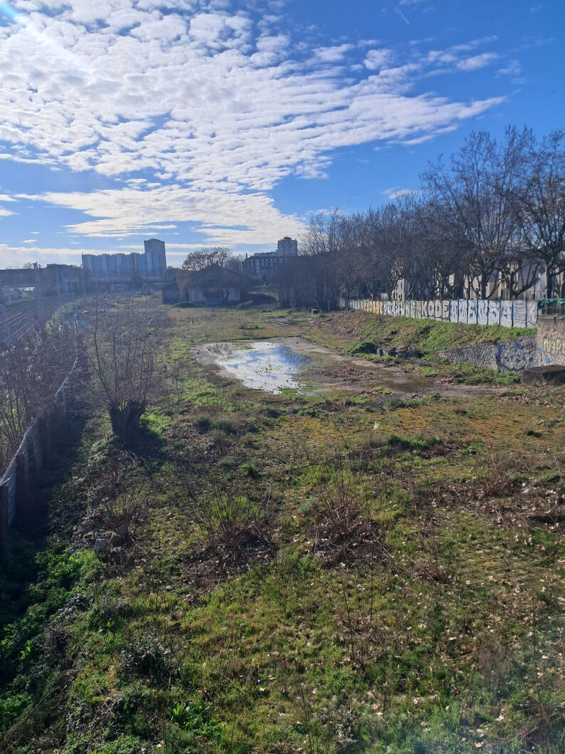 Photos du terrain SNCF rue Babeuf-Verdun, espace vert pour l'instant en friche.