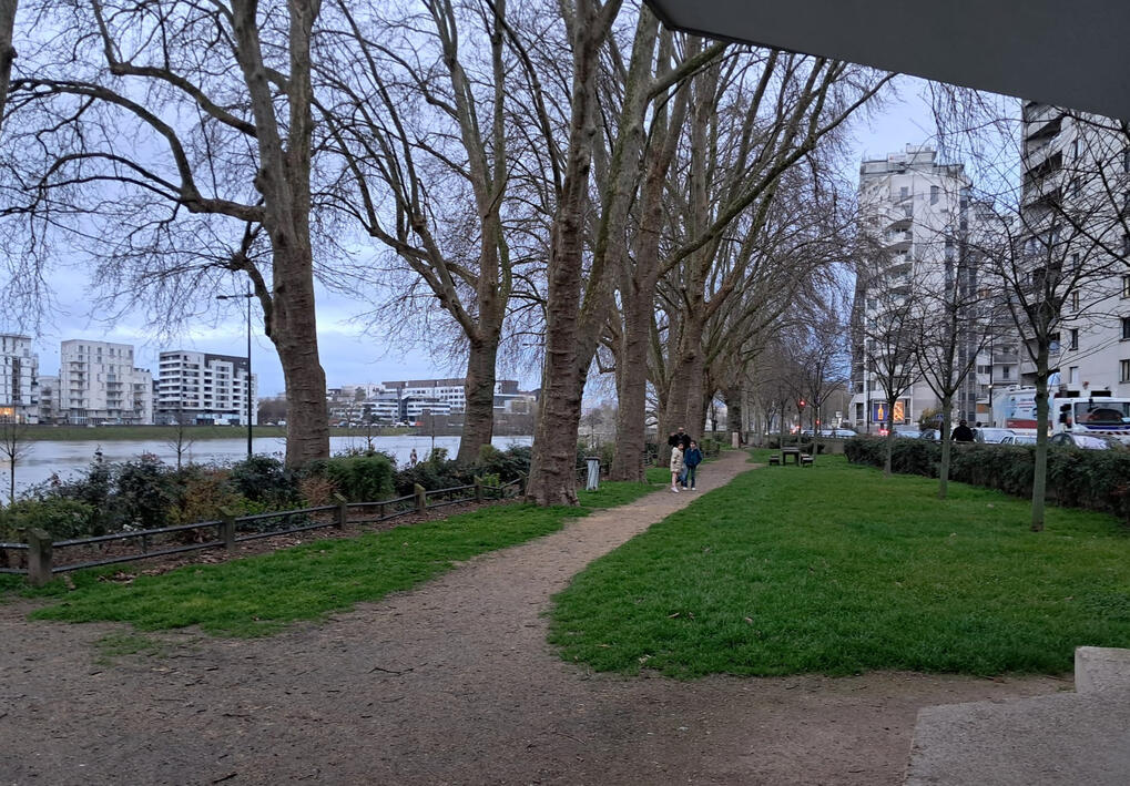 Manque de vrais parcs Photo d'une pelouse nue en bord de Seine, espace qui mériterait d'être valorisé en véritable parc.